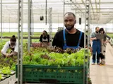 Productiemedewerker Den Haag