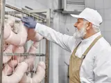 Kok Productie Keuken Almere