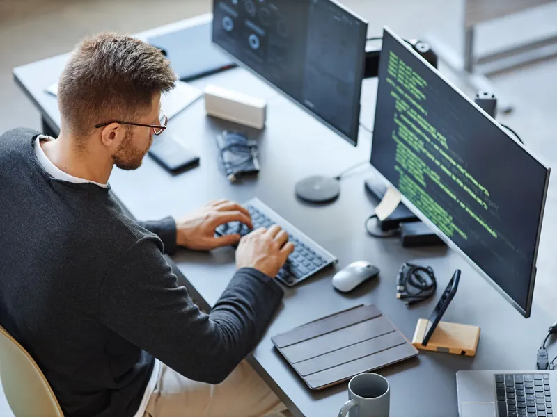 .NET Framework Developer
