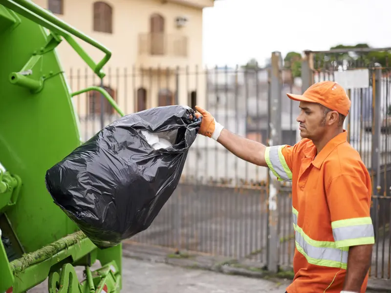 Garbage Collector
