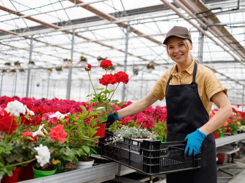 Productiemedewerker Den Haag